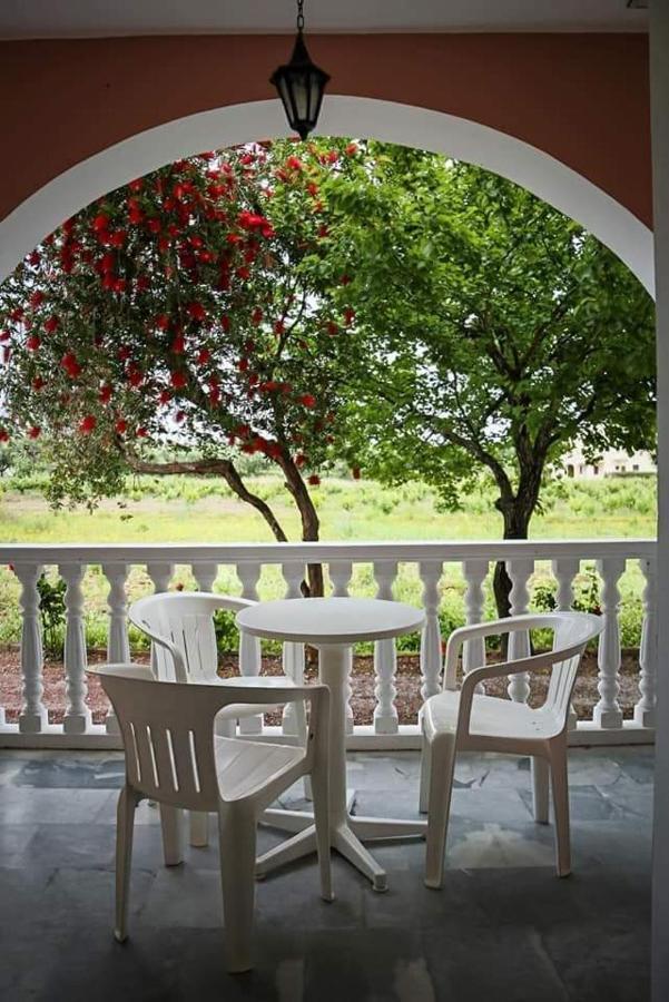 Souda Studios Alykes Zakynthos المظهر الخارجي الصورة